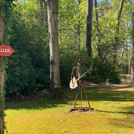 Le Petit Poulailler Au Beau Milieu Des Pins Vila Lacanau Exterior foto
