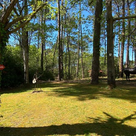Le Petit Poulailler Au Beau Milieu Des Pins Vila Lacanau Exterior foto