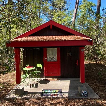 Le Petit Poulailler Au Beau Milieu Des Pins Vila Lacanau Exterior foto