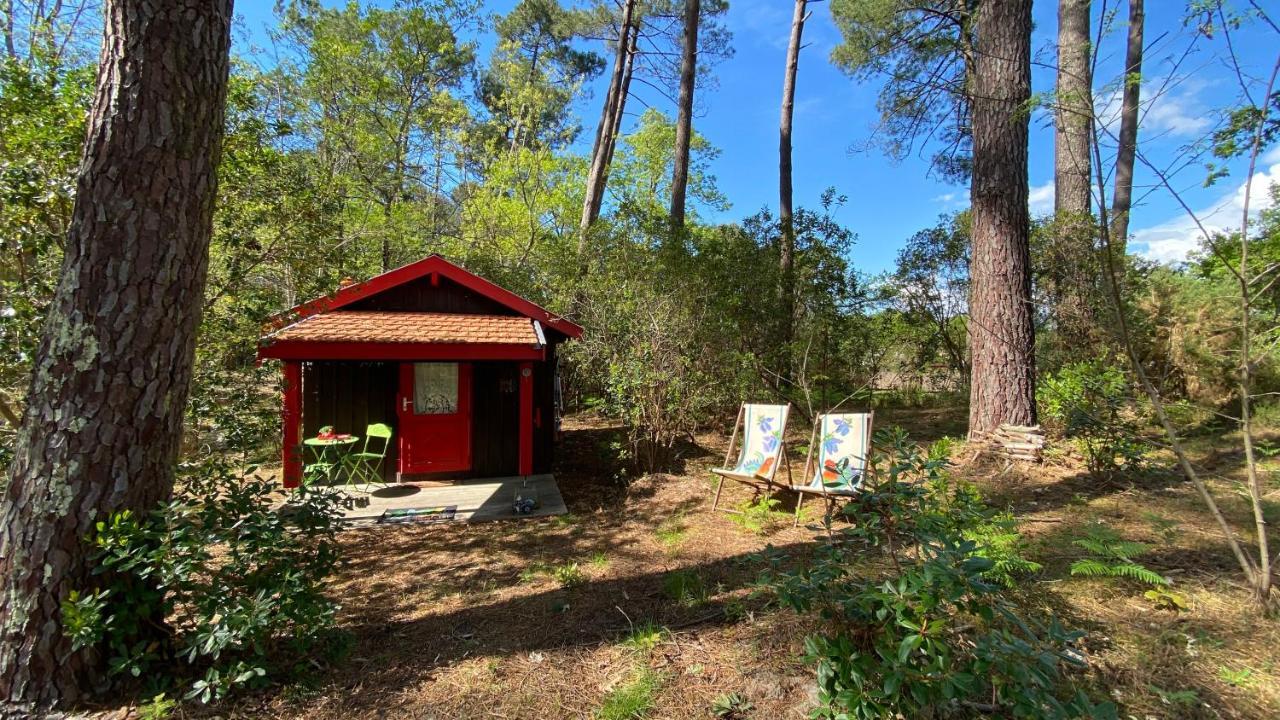 Le Petit Poulailler Au Beau Milieu Des Pins Vila Lacanau Exterior foto