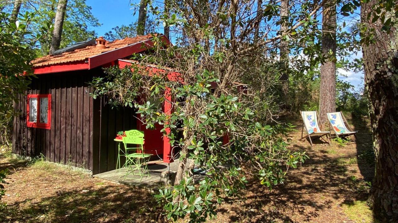 Le Petit Poulailler Au Beau Milieu Des Pins Vila Lacanau Exterior foto