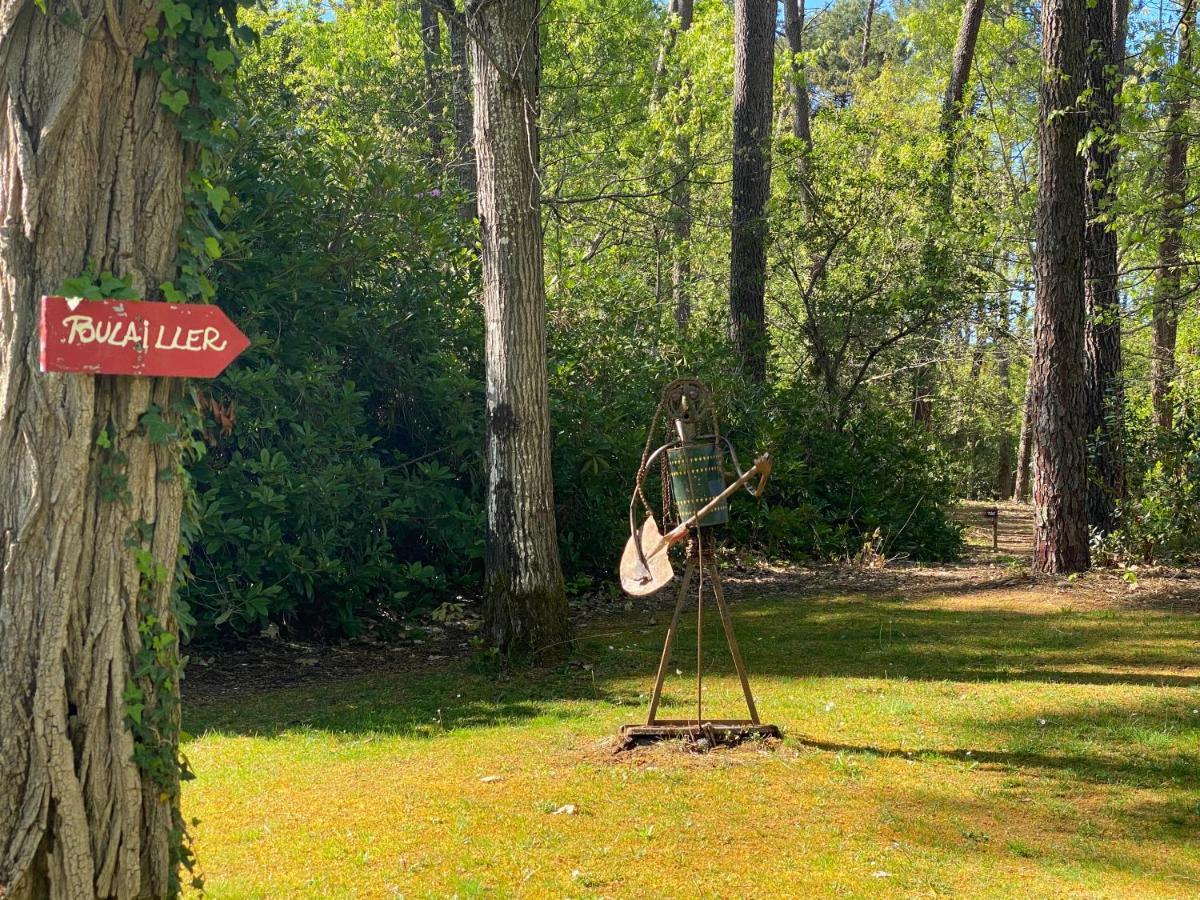 Le Petit Poulailler Au Beau Milieu Des Pins Vila Lacanau Exterior foto
