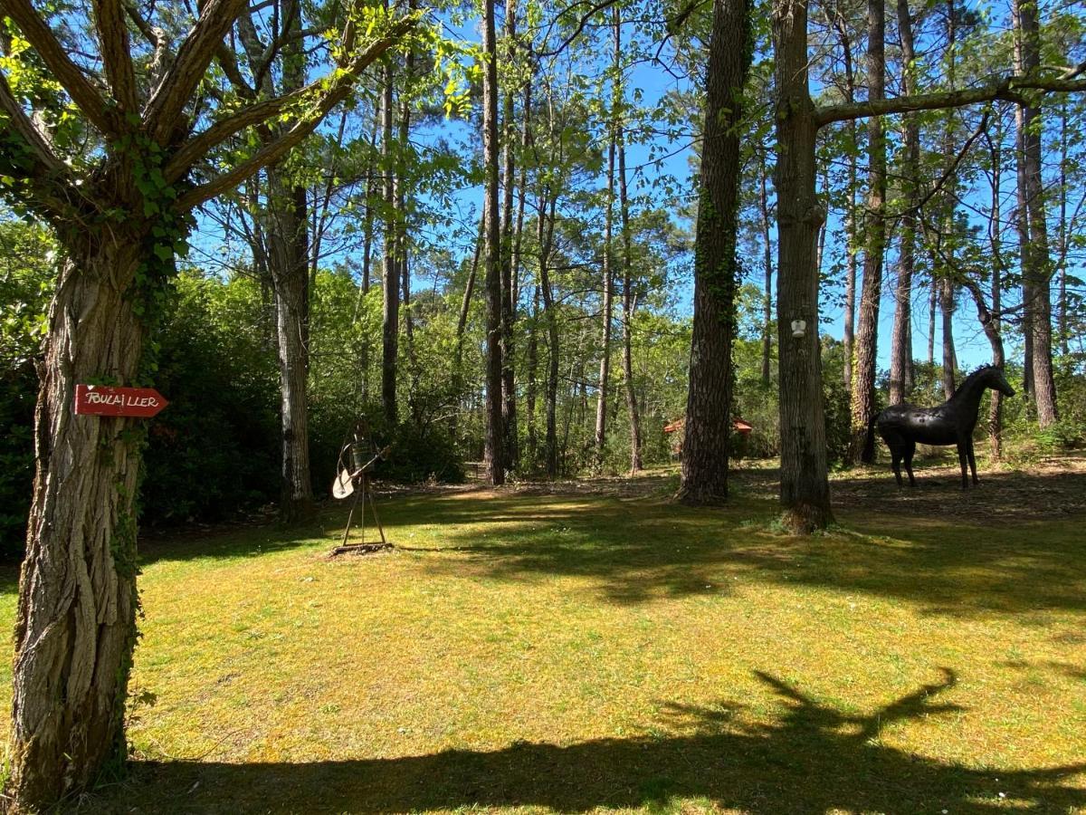 Le Petit Poulailler Au Beau Milieu Des Pins Vila Lacanau Exterior foto