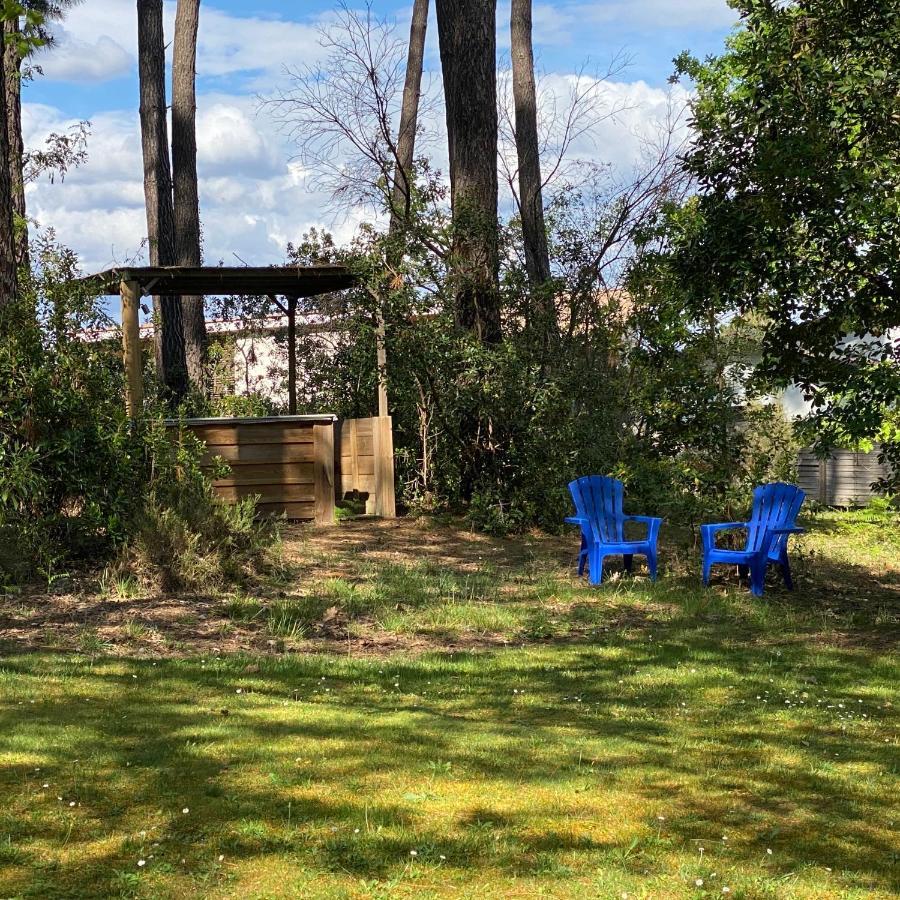 Le Petit Poulailler Au Beau Milieu Des Pins Vila Lacanau Exterior foto