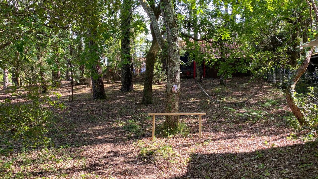 Le Petit Poulailler Au Beau Milieu Des Pins Vila Lacanau Exterior foto
