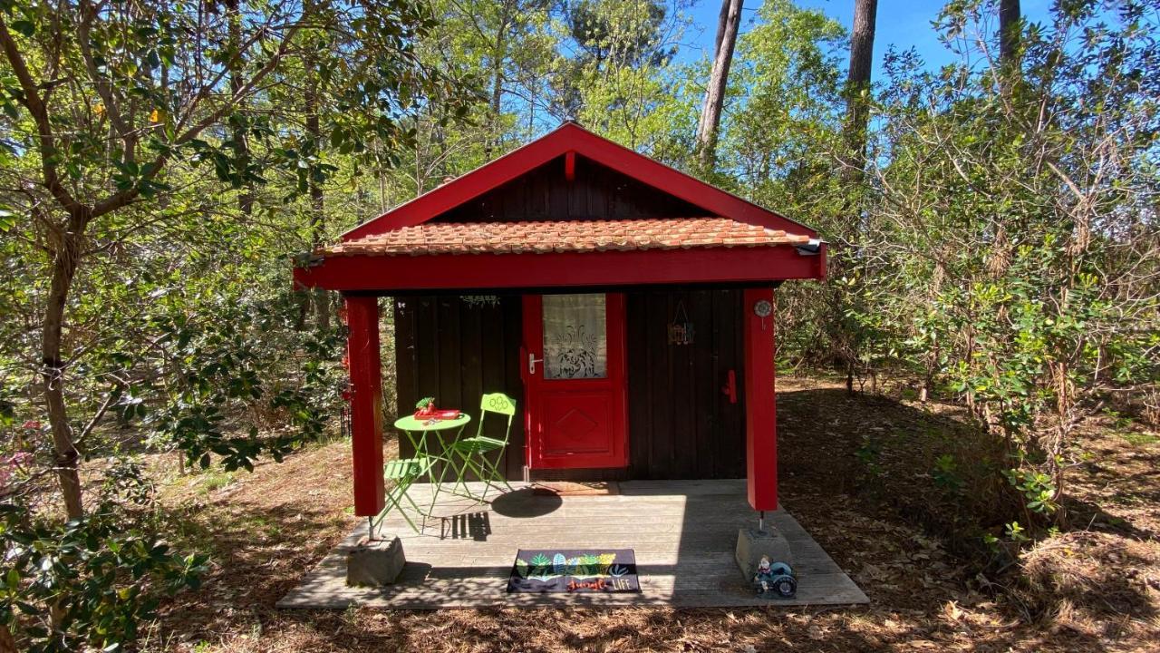 Le Petit Poulailler Au Beau Milieu Des Pins Vila Lacanau Exterior foto