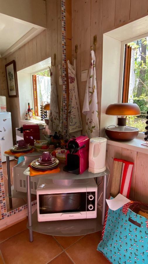 Le Petit Poulailler Au Beau Milieu Des Pins Vila Lacanau Exterior foto