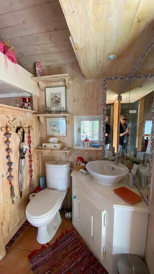 Le Petit Poulailler Au Beau Milieu Des Pins Vila Lacanau Exterior foto