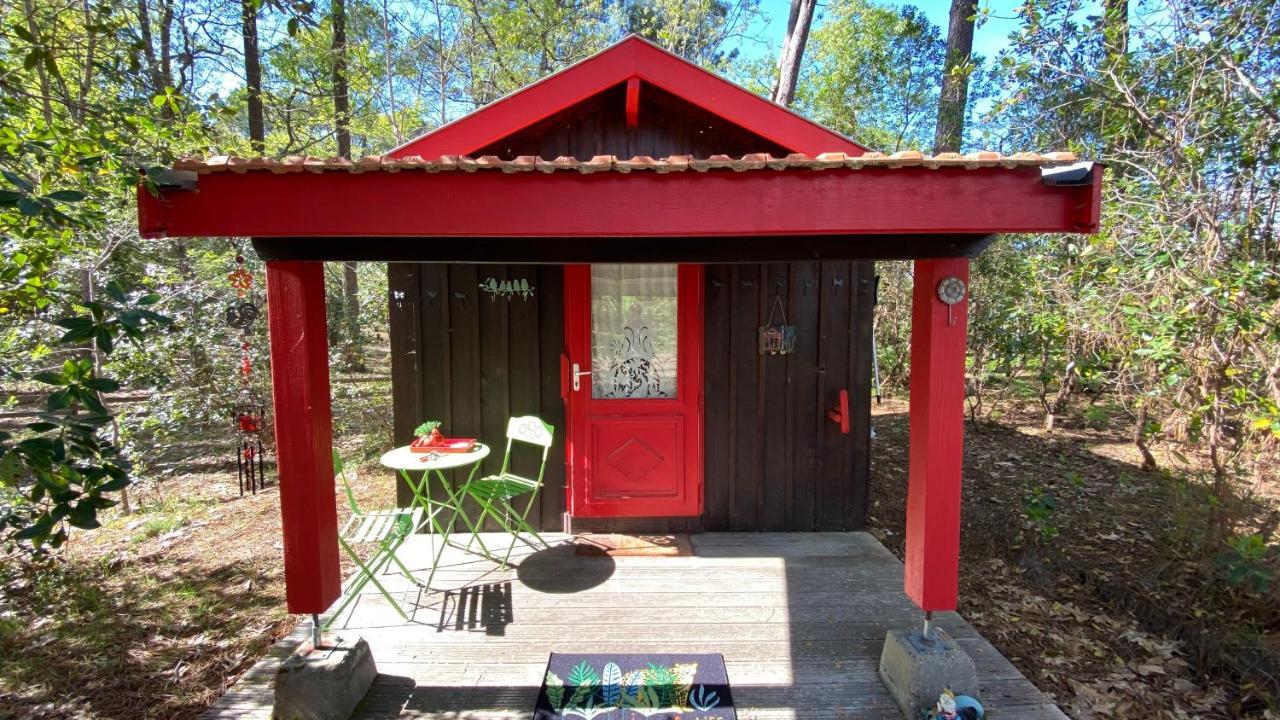 Le Petit Poulailler Au Beau Milieu Des Pins Vila Lacanau Exterior foto