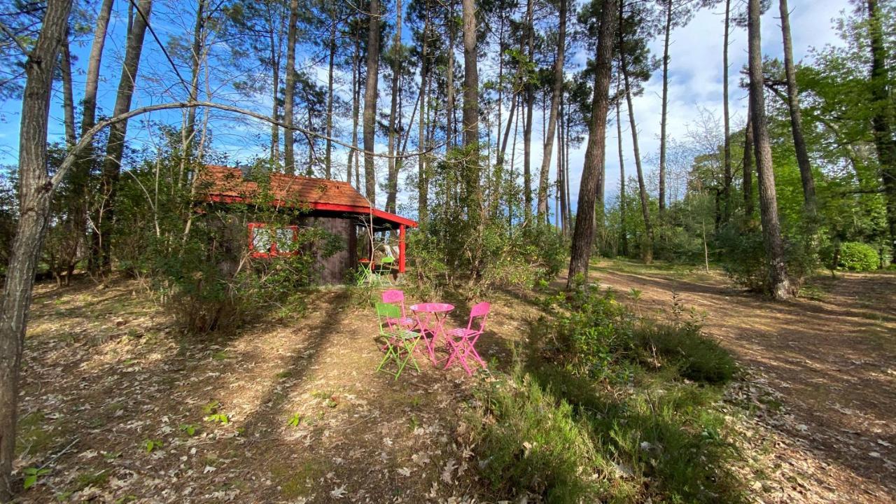 Le Petit Poulailler Au Beau Milieu Des Pins Vila Lacanau Exterior foto