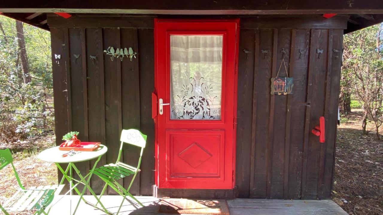 Le Petit Poulailler Au Beau Milieu Des Pins Vila Lacanau Exterior foto