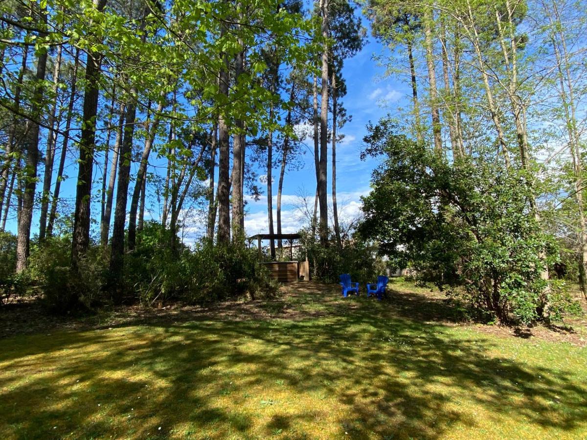 Le Petit Poulailler Au Beau Milieu Des Pins Vila Lacanau Exterior foto