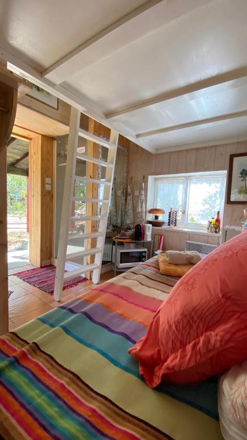 Le Petit Poulailler Au Beau Milieu Des Pins Vila Lacanau Exterior foto